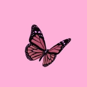 Meet your Posher, Kira